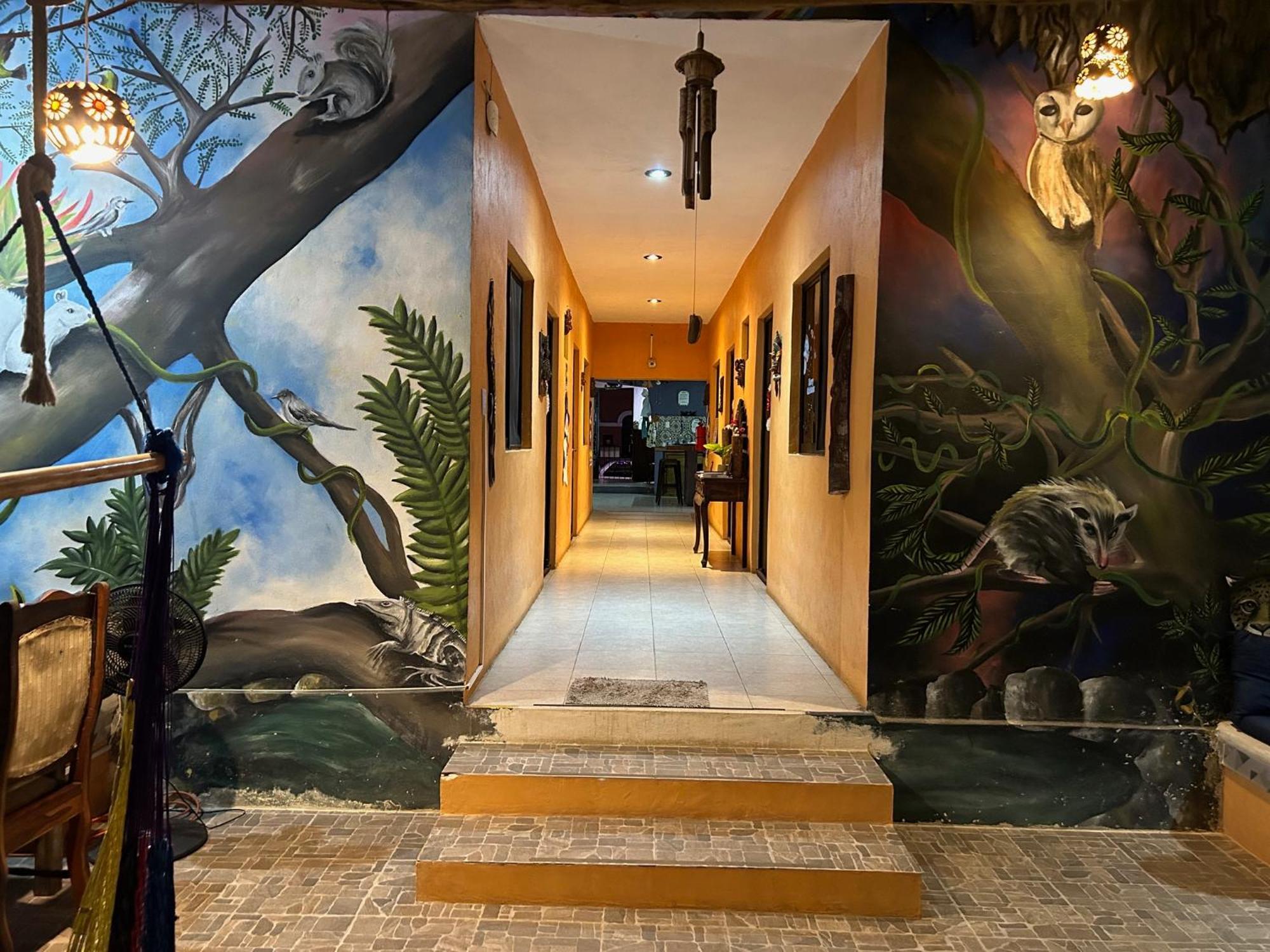 Hostel Casa Xtakay Valladolid  Eksteriør billede